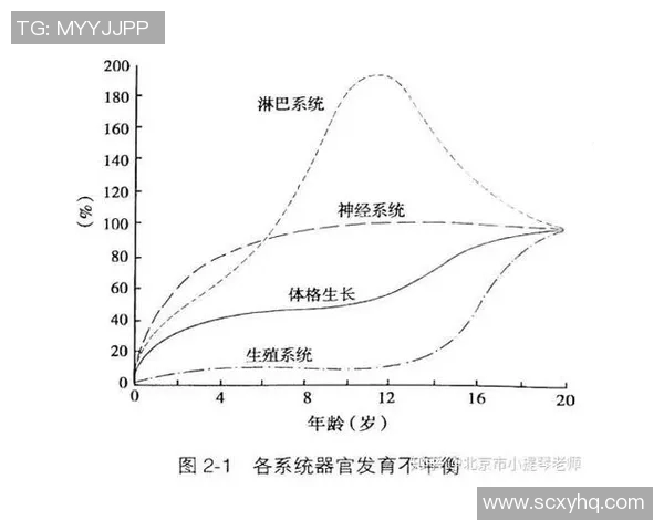 广州排球队与北京排球队赛后分析及比赛节奏探讨